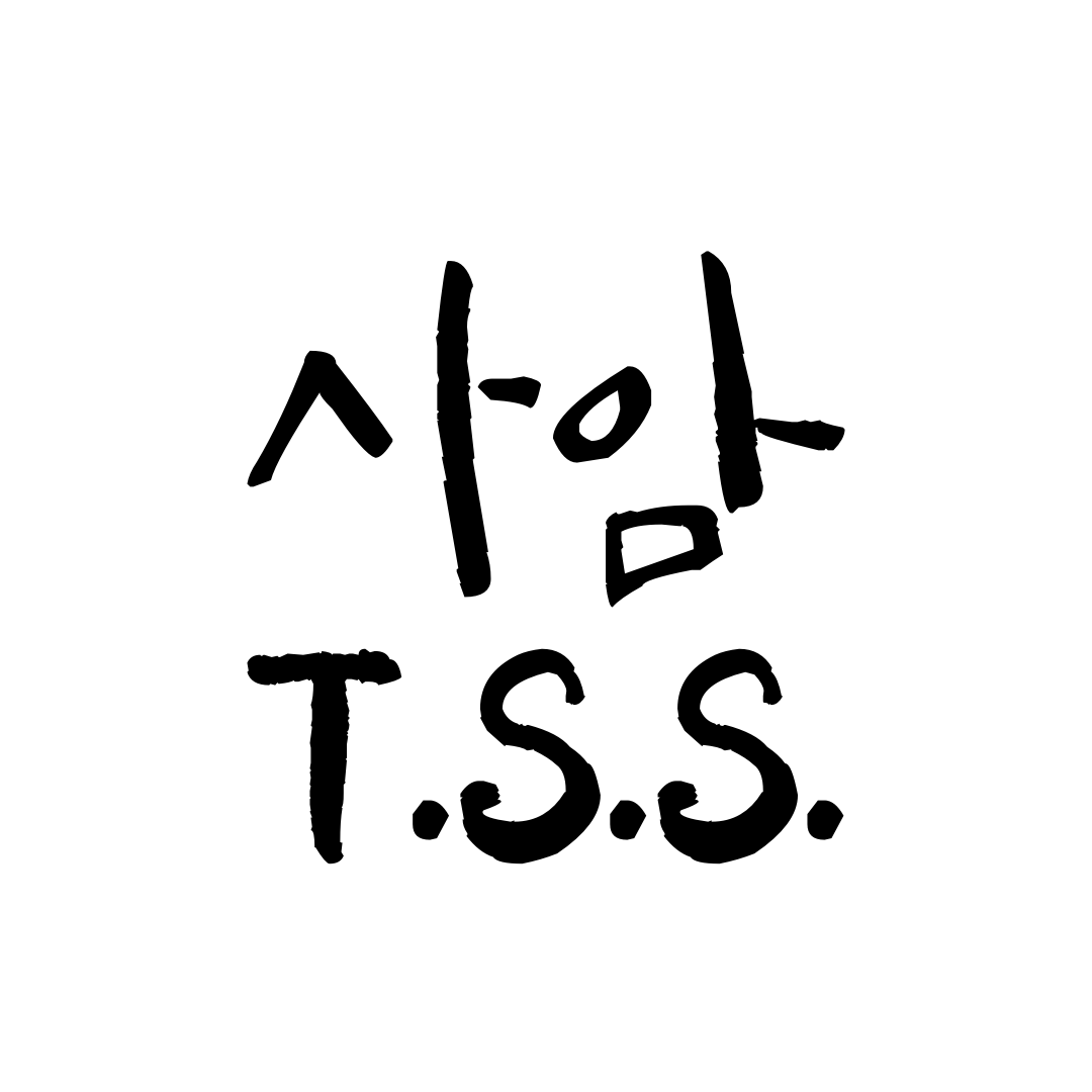 Thinking Stones' Society